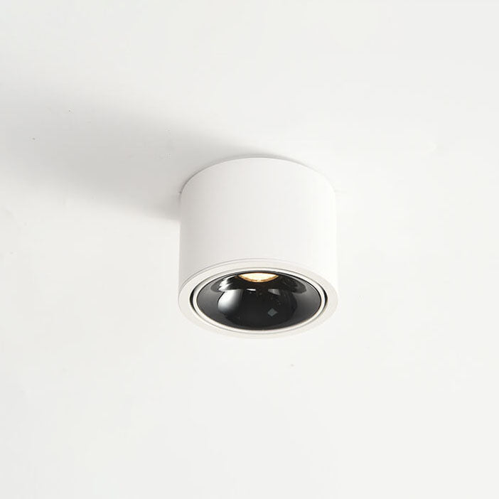 Adjustable LED Flush Mount Ceiling Spotlight