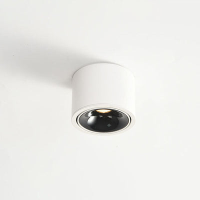Adjustable LED Flush Mount Ceiling Spotlight