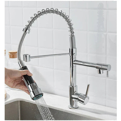 Black and Gold Dual Spout Kitchen Faucet