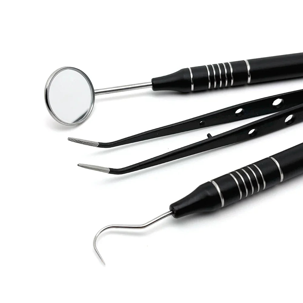 Stainless Steel Teeth Cleaning Kit with Dental Tools