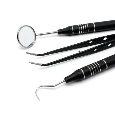 Stainless Steel Teeth Cleaning Kit with Dental Tools