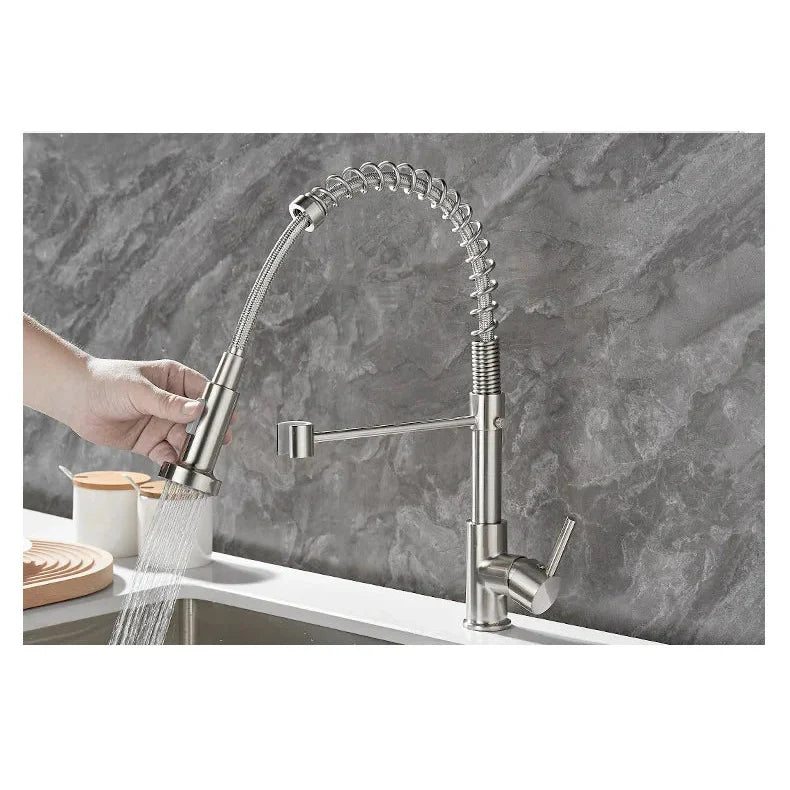 Black and Gold Dual Spout Kitchen Faucet