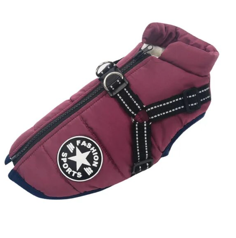 Waterproof Dog Coat with Belly Straps – Emmaly
