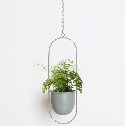 Wall Hanging Metal Plant Holder – FloraFrame