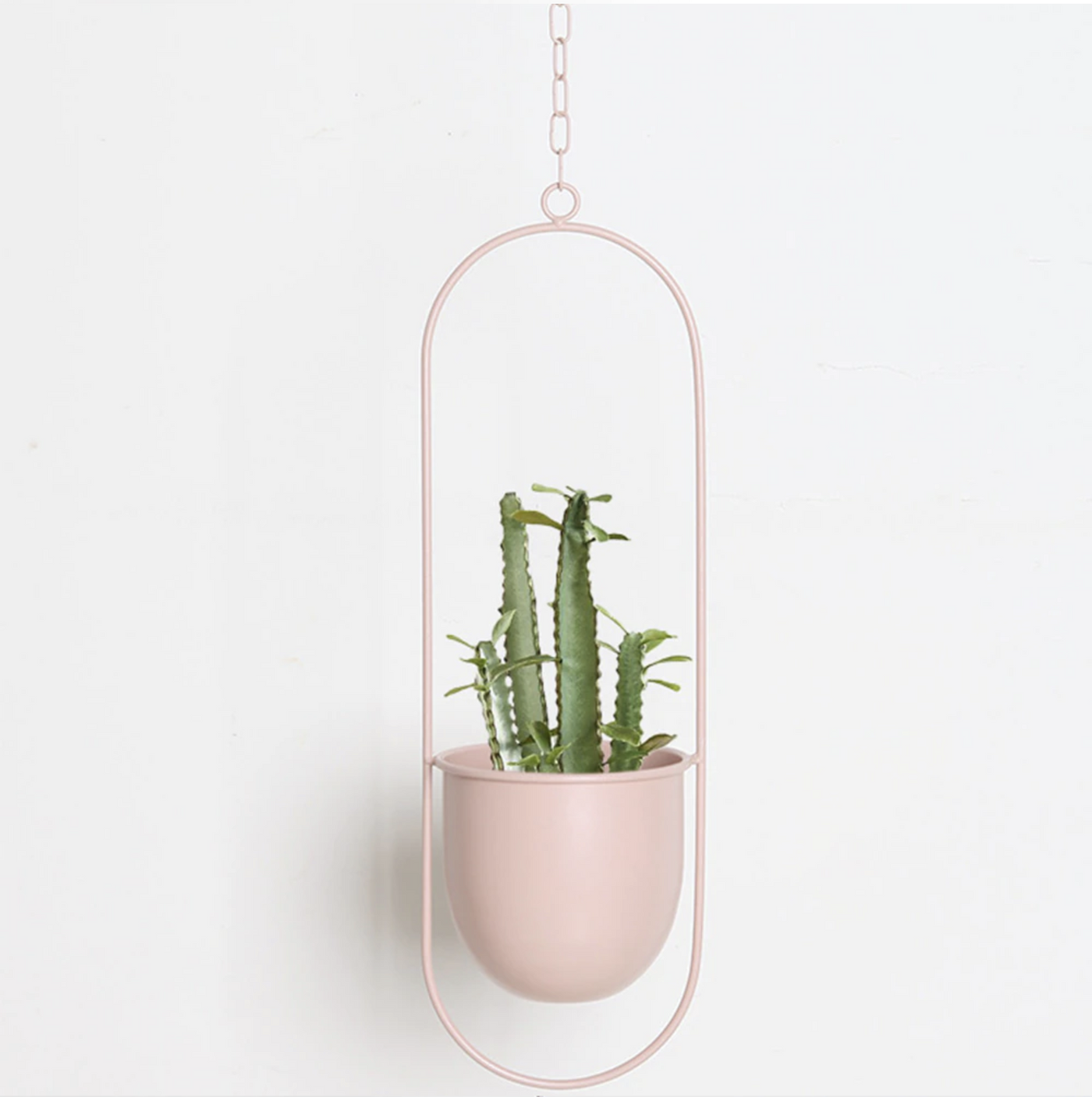 Wall Hanging Metal Plant Holder – FloraFrame