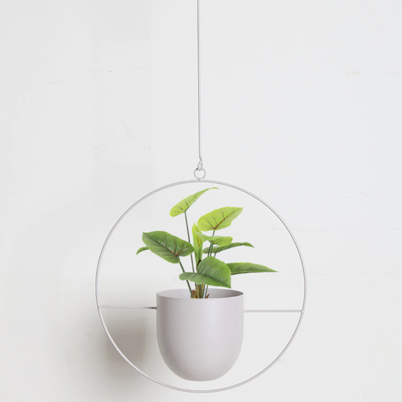 Wall Hanging Metal Plant Holder – FloraFrame