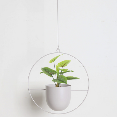 Wall Hanging Metal Plant Holder – FloraFrame
