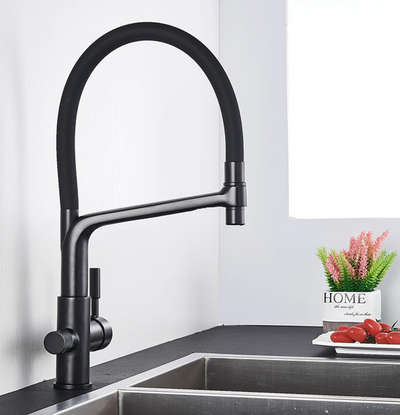 Pull Down Kitchen Faucet with Filtered Water Outlet