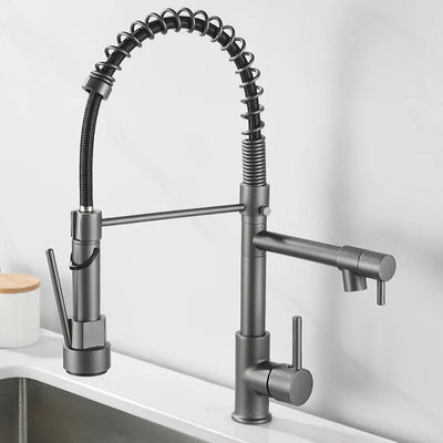 Black and Gold Dual Spout Kitchen Faucet
