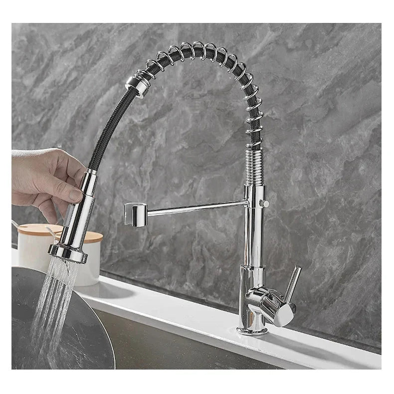 Black and Gold Dual Spout Kitchen Faucet