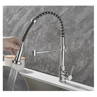 Black and Gold Dual Spout Kitchen Faucet