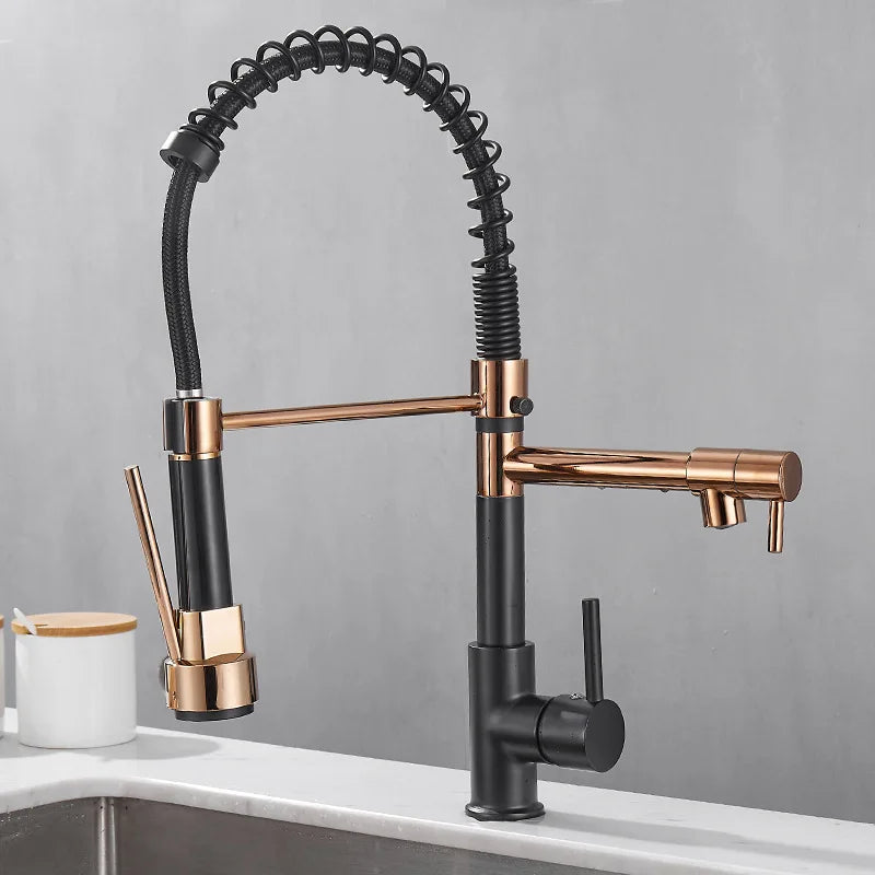 Black and Gold Dual Spout Kitchen Faucet
