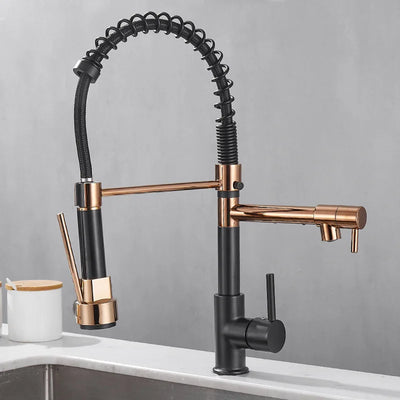 Black and Gold Dual Spout Kitchen Faucet