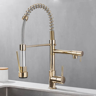 Black and Gold Dual Spout Kitchen Faucet