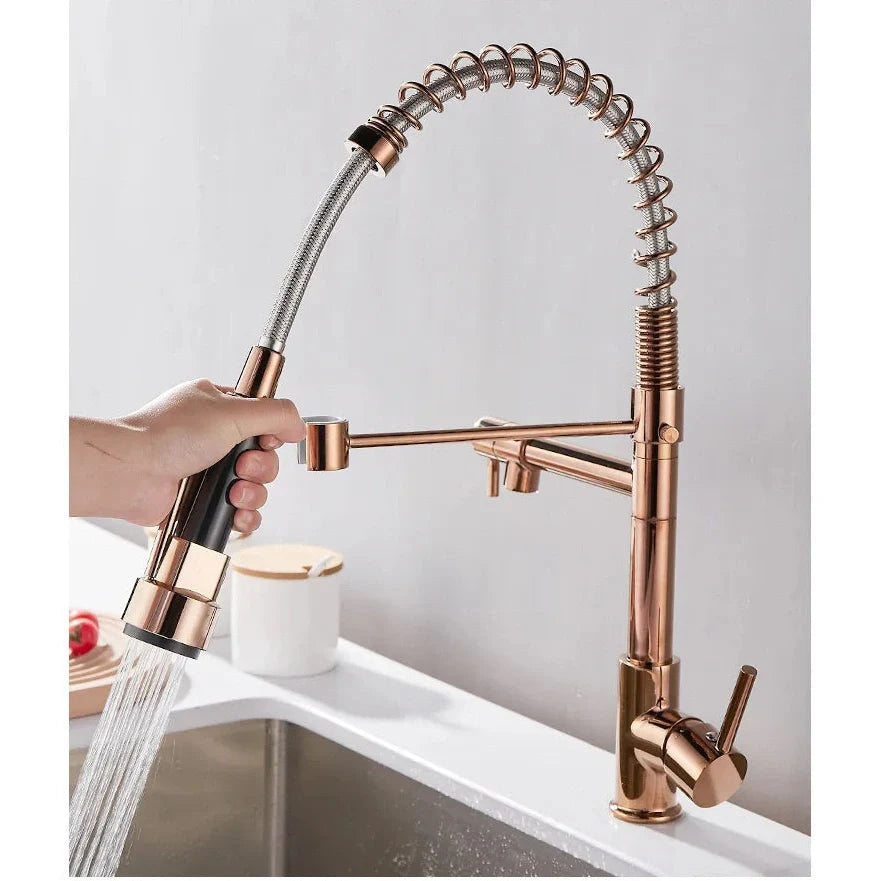 Black and Gold Dual Spout Kitchen Faucet
