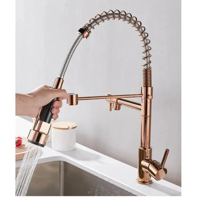 Black and Gold Dual Spout Kitchen Faucet