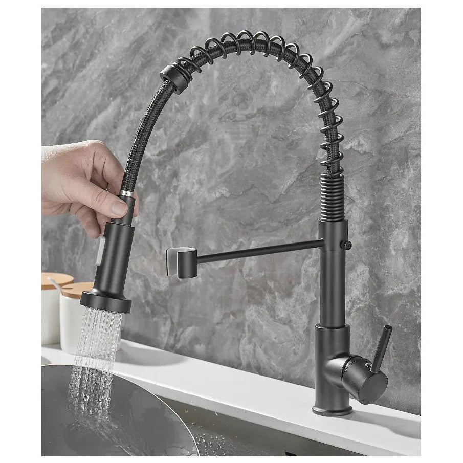 Black and Gold Dual Spout Kitchen Faucet