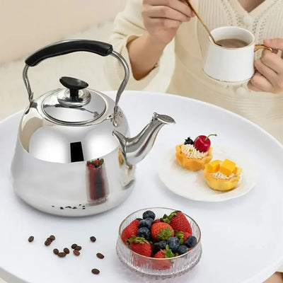 Stainless Steel Whistling Tea Kettle