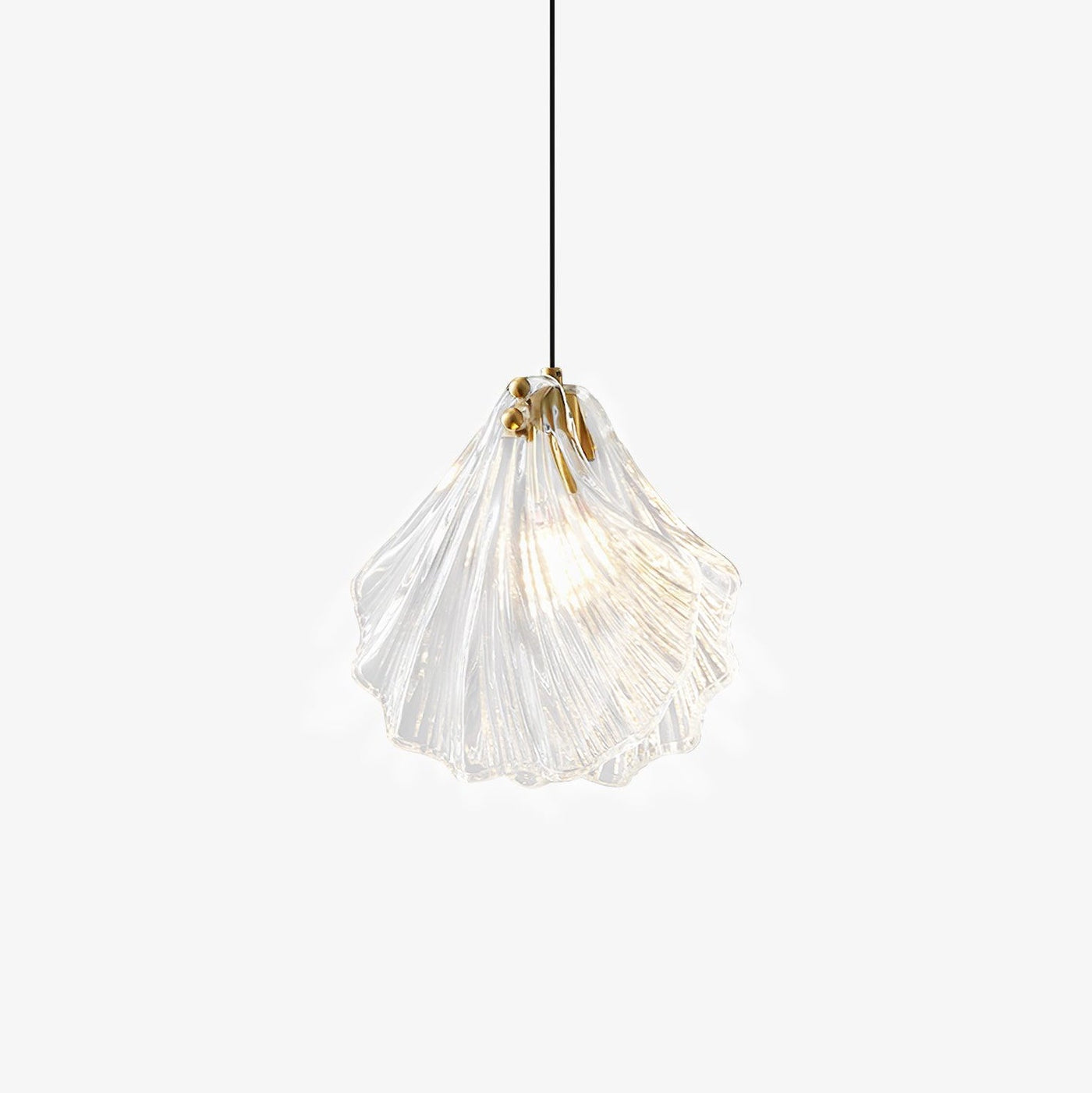 Mini Shell Pendant Light – Glass Coastal Design