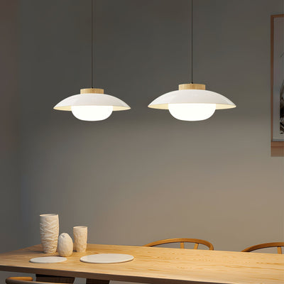 Modern Metal Pendant Light with Wood Accent