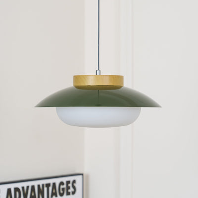 Modern Metal Pendant Light with Wood Accent