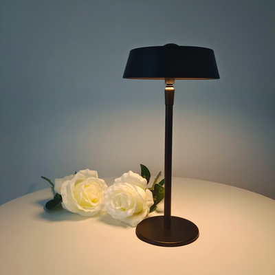 Modern Rechargeable Touch Sensor LED Desk Lamp