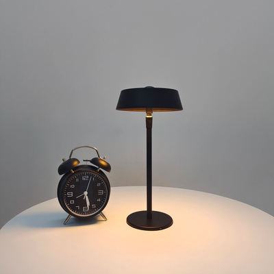 Modern Rechargeable Touch Sensor LED Desk Lamp