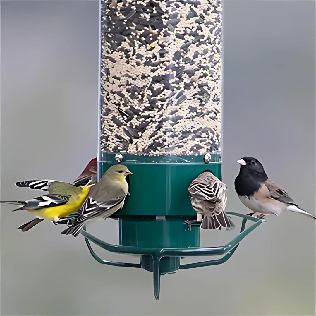 Metal Hanging Squirrel-Proof Bird Feeder for Gardens