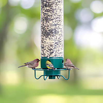 Metal Hanging Squirrel-Proof Bird Feeder for Gardens
