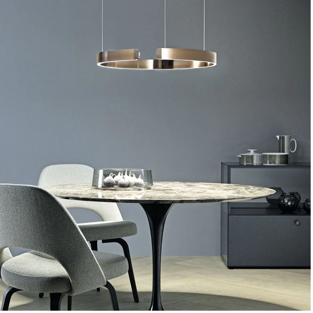 Modern Living Room Ring LED Pendant Light