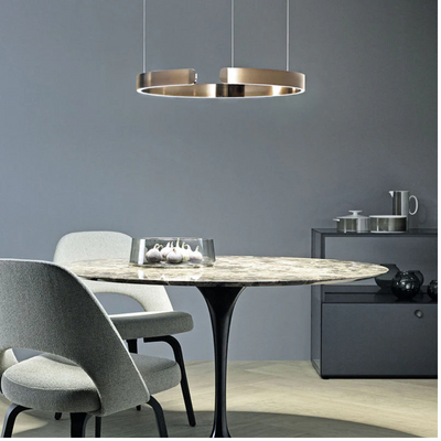 Modern Living Room Ring LED Pendant Light
