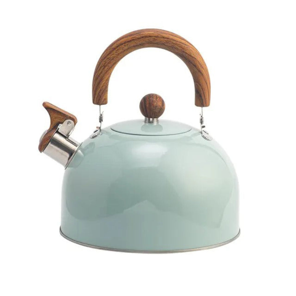 Stainless Steel Whistling Kettle with Ergonomic Handle