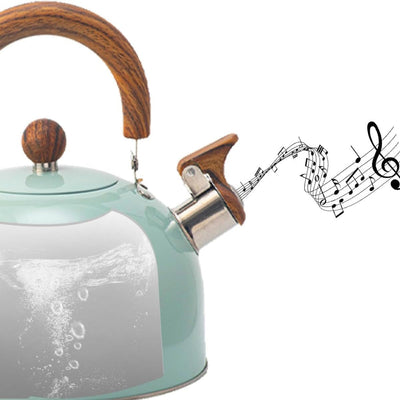 Stainless Steel Whistling Kettle with Ergonomic Handle