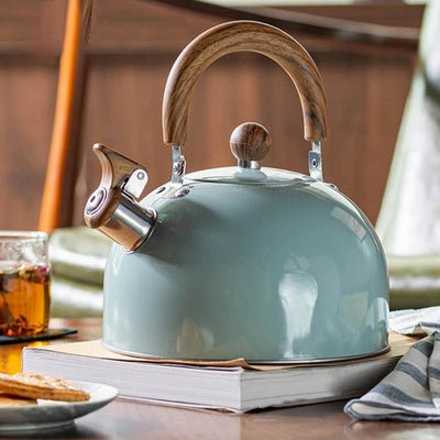 Stainless Steel Whistling Kettle with Ergonomic Handle