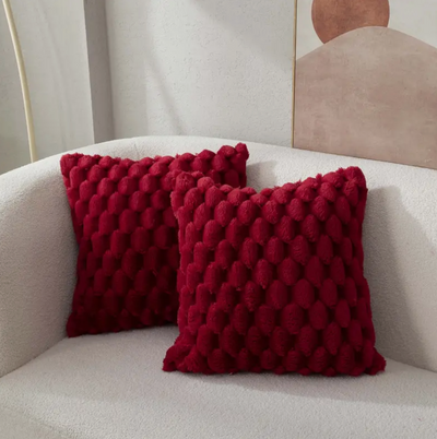 Soft Plush Decorative Pillow with Washable Cover