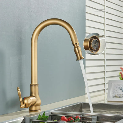 Antique Brass Kitchen Faucet with Swivel Spout