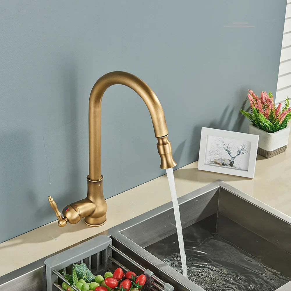 Antique Brass Kitchen Faucet with Swivel Spout