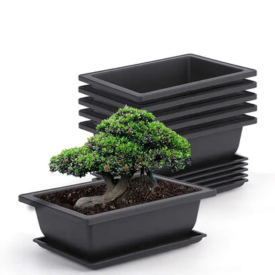 Rectangular Flower Planter with Saucer for Balcony