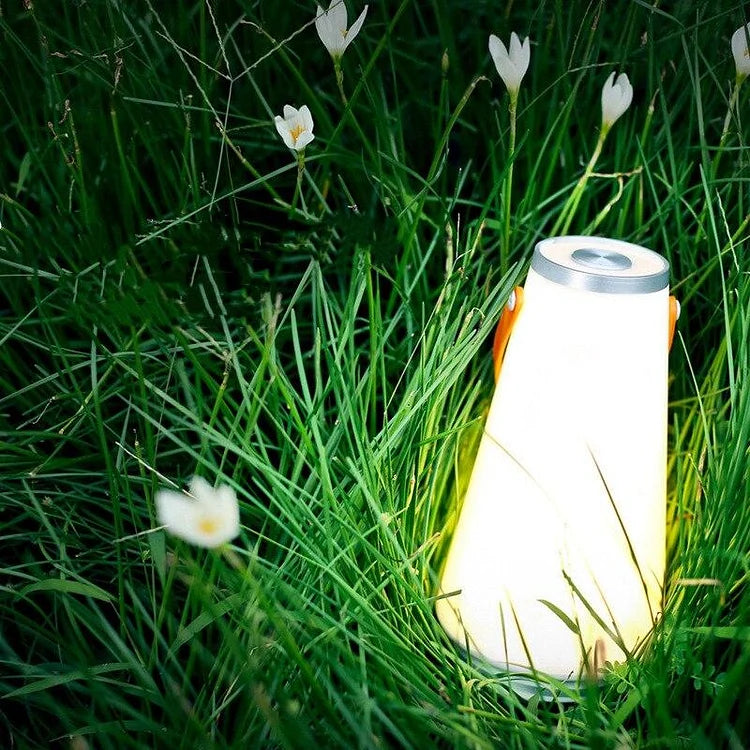 Portable LED Camping Lamp – Cordless Rechargeable Light