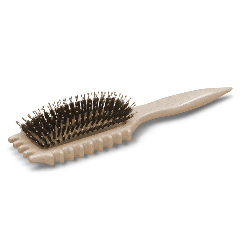 Detangling Brush for Defined, Frizz-Free Curls