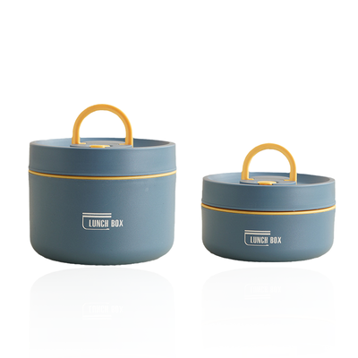 Multi-Layer Insulated Lunchbox with Free Carry Bag