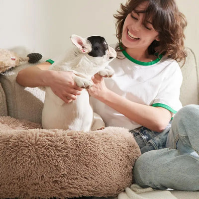 Milowa Soft Orthopedic Pet Bed for Cats and Dogs