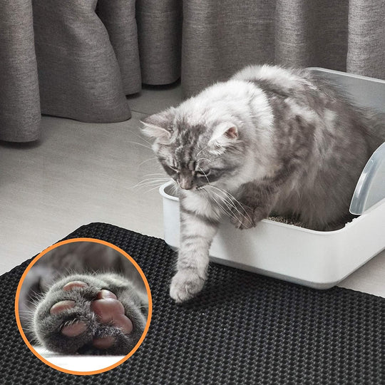 Cat Litter Mat with Double-Layer Trap and Non-Slip Base – PawGuard