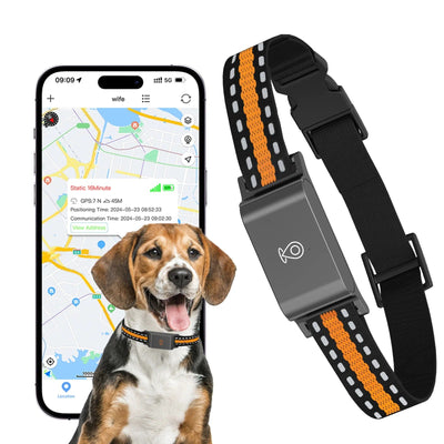 GPS Dog and Cat Collar – Unlimited Range Real-Time Tracker