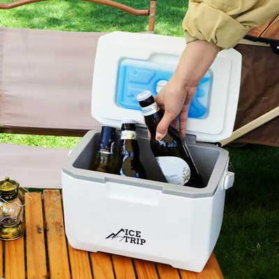 Compact 5L Compressor Freezer Fridge for Camping and Travel