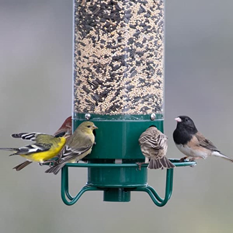 Squirrel-Proof Bird Feeder – 5lb Seed Tube with 4 Ports