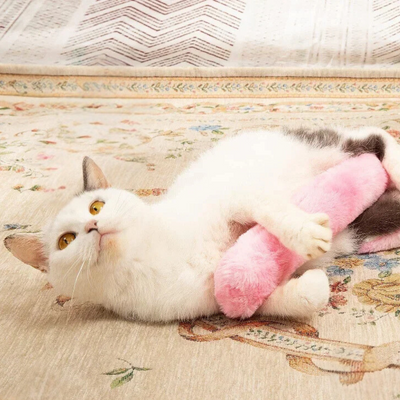 Catnip Plush Cushion Toy for Playful Cats