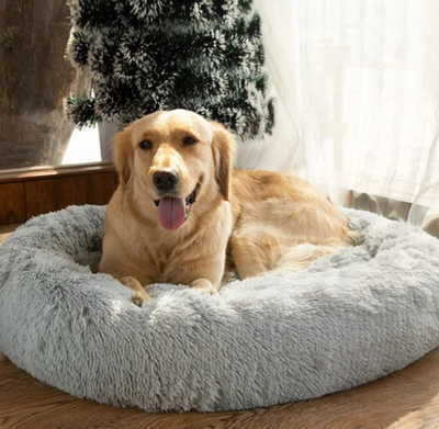 Milowa Soft Orthopedic Pet Bed for Cats and Dogs