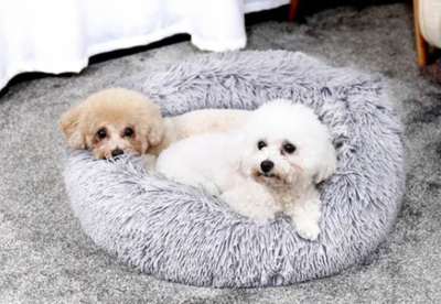 Milowa Soft Orthopedic Pet Bed for Cats and Dogs