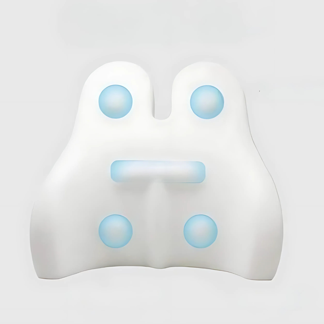 Memory Foam Back Support Cushion for Office Chairs